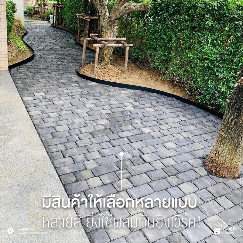 315113135 570946275035313 6116981786008640592 n